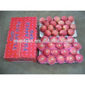 names all fruits fuji apple
